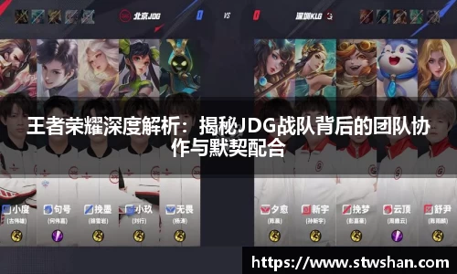 王者荣耀深度解析：揭秘JDG战队背后的团队协作与默契配合